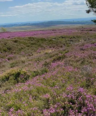 Floyter House North Yorkshire Moors National Park * Danby