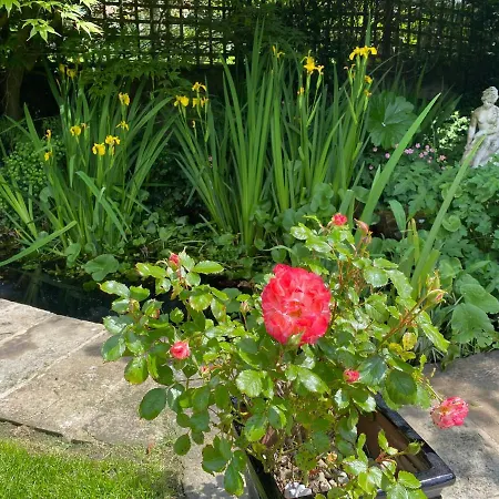 Gæstehus Floyter House North Yorkshire Moors National Park