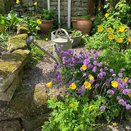 Floyter House North Yorkshire Moors National Park Gæstehus Danby